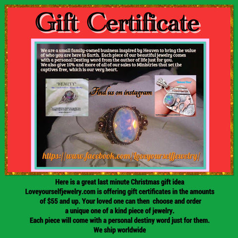 $55 Christmas Gift Certificate